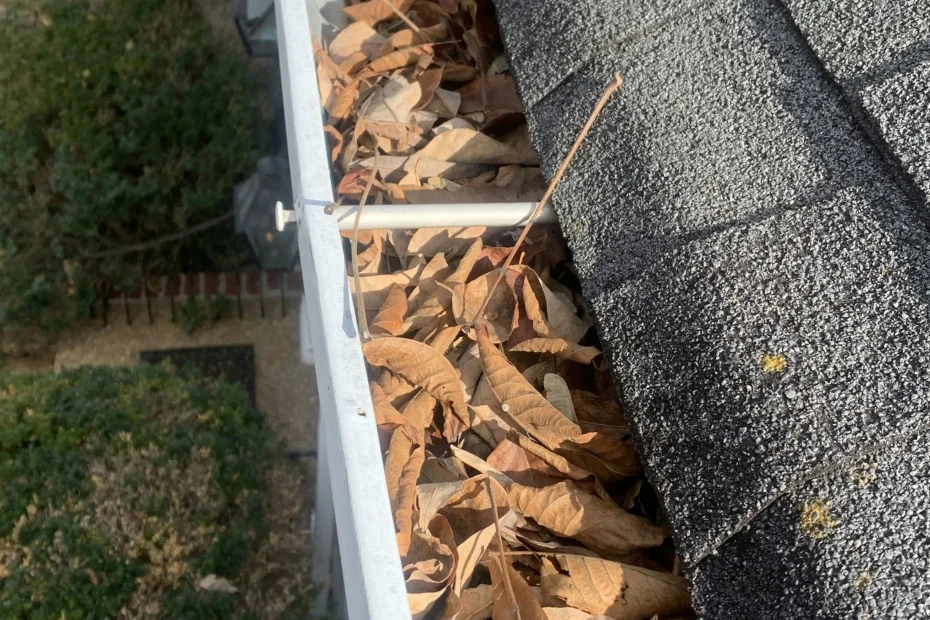 Gutter Cleaning Haw Creek