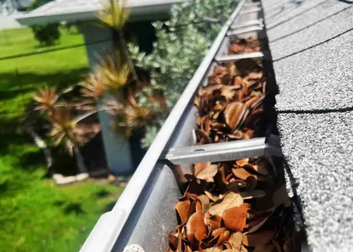 Gutter Cleaning Haw Creek home page